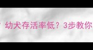 母犬拒绝哺乳怎么办幼犬存活率低3步教你科学应对哺乳期危机