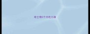 哈士奇5个月吃几顿