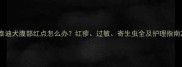 泰迪犬腹部红点怎么办红疹过敏寄生虫全及护理指南