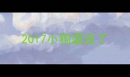 2017小狗退役了