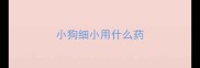 小狗细小用什么药