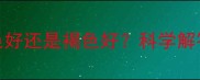 边境牧羊犬眼睛呈蓝色好还是褐色好科学解答蓝眼特征与养护指南