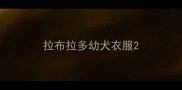 拉布拉多幼犬衣服