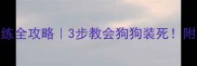 边境牧羊犬装死训练全攻略3步教会狗狗装死附安全指南和替代方案