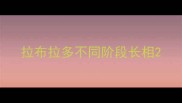 拉布拉多不同阶段长相