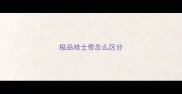 极品哈士奇怎么区分