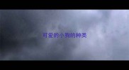 可爱的小狗的种类