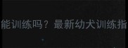 拉布拉多两个月大能训练吗最新幼犬训练指南与科学养护方案