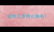 边牧几岁停止换毛