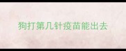 狗打第几针疫苗能出去