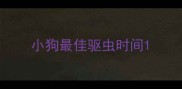 小狗最佳驱虫时间