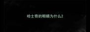 哈士奇的眼睛为什么