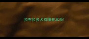 拉布拉多犬有哪些本领