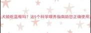 金毛犬能吃蓝莓吗这5个科学喂养指南助您正确使用蓝莓