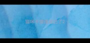 猫咪不清理自己了