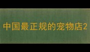 中国最正规的宠物店