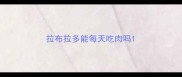 拉布拉多能每天吃肉吗