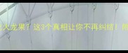 泰迪狗能不能吃火龙果这3个真相让你不再纠结附详细喂养指南