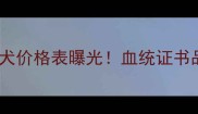 有血统的金毛幼犬价格表曝光血统证书品相血统犬舍全