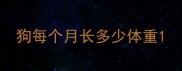 狗每个月长多少体重