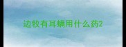 边牧有耳螨用什么药