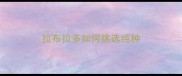 拉布拉多如何挑选纯种