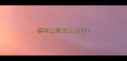 猫咪过敏怎么治疗
