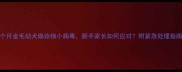 2个月金毛幼犬确诊细小病毒新手家长如何应对附紧急处理指南