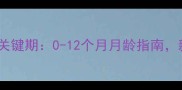 杜宾犬饲养关键期0-12个月月龄指南新手必看