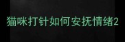 猫咪打针如何安抚情绪