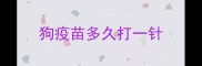 狗疫苗多久打一针