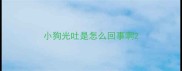 小狗光吐是怎么回事啊