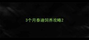 3个月泰迪饲养攻略