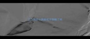 三个月的小狗能吃干狗粮了吗