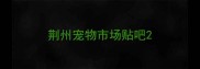 荆州宠物市场贴吧