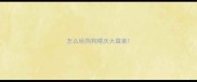 怎么给狗狗喂庆大霉素