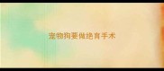 宠物狗要做绝育手术