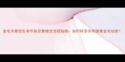 金毛犬最佳生育年龄及繁殖全流程指南如何科学孕育健康金毛幼崽