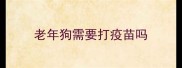 老年狗需要打疫苗吗