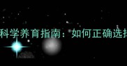 泰迪犬出售年龄与科学养育指南如何正确选择幼犬出售时机