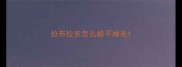 拉布拉多怎么能不掉毛
