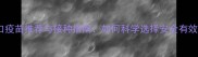 狗狗必看进口疫苗推荐与接种指南如何科学选择安全有效的宠物疫苗