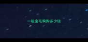 一般金毛狗狗多少钱