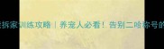 哈士奇高能拆家训练攻略养宠人必看告别二哈称号的实用指南