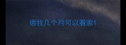 德牧几个月可以看家