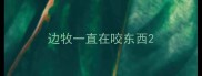 边牧一直在咬东西
