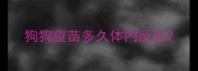 狗狗疫苗多久体内反应