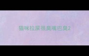 猫咪拉屎很臭嘴巴臭