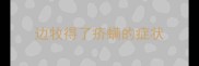 边牧得了疥螨的症状