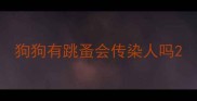 狗狗有跳蚤会传染人吗